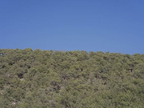 Shots from the Beach